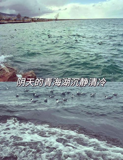 青海省海北天气预报，青海省海北天气预报查询？  第3张