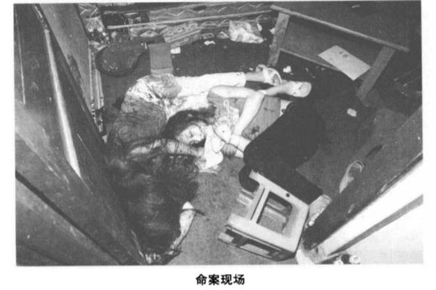 中国前十变态凶杀案，中国前十变态凶杀案件详细介绍？  第3张
