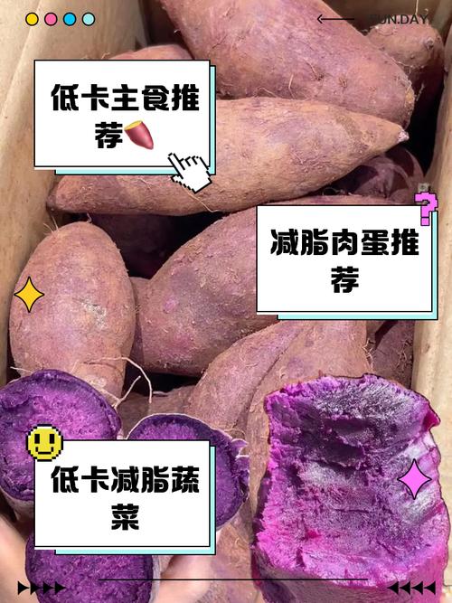 热量低的主食？热量低的主食一览表？  第2张