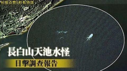 新疆天池水怪真相？新疆天池水怪真相图片？  第2张