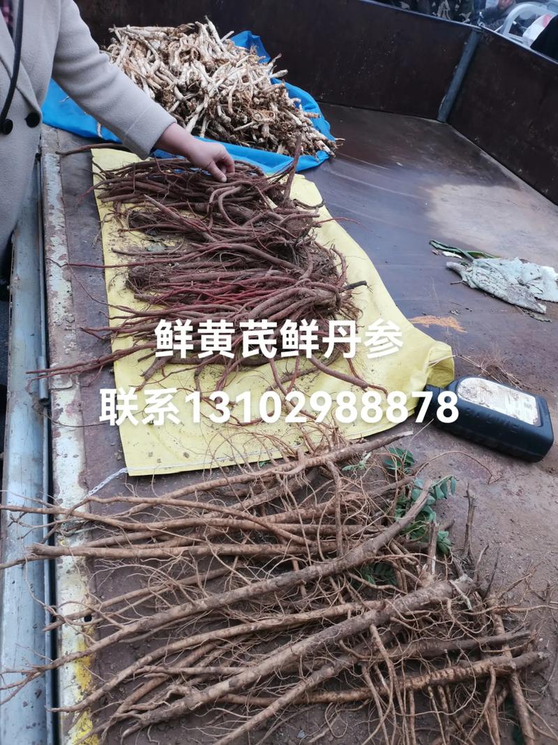邵东廉桥天气15天，廉桥天气预报  第3张