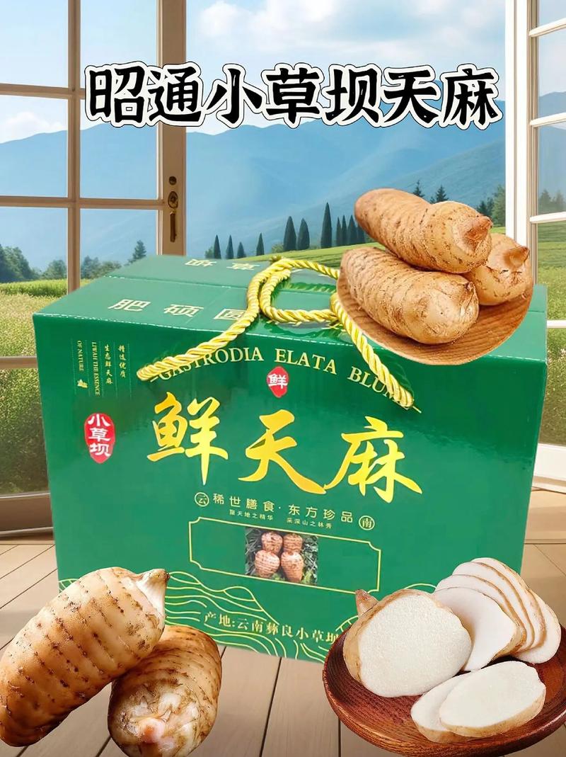 镇雄特产美食有哪些简介，镇雄的特产小吃  第5张