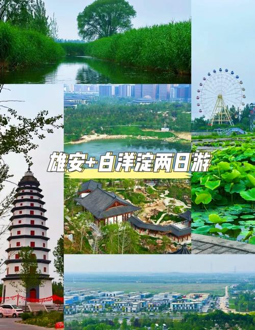 未来几天白洋淀天气，白洋淀地区天气预报  第4张