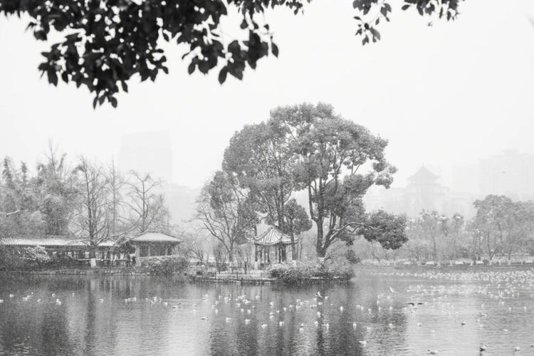 阜阳天气十五天预报，阜阳市15天天气？  第6张
