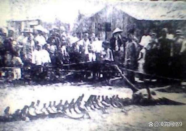 双鱼玉佩辟谣，双 鱼玉佩事件？  第1张