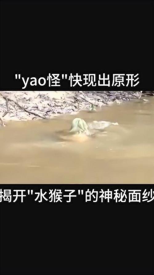 民间奇闻怪事视频，民间奇闻怪事论  第6张