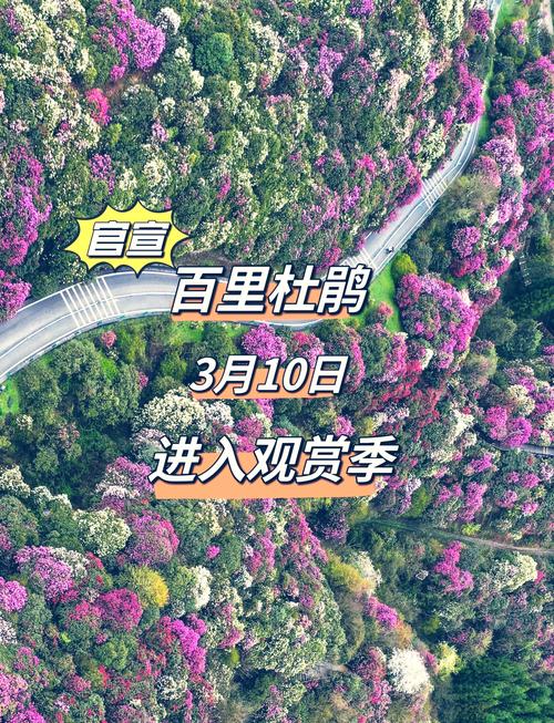 萍乡天气预报湿度？萍乡天气预报30天米胖？  第1张