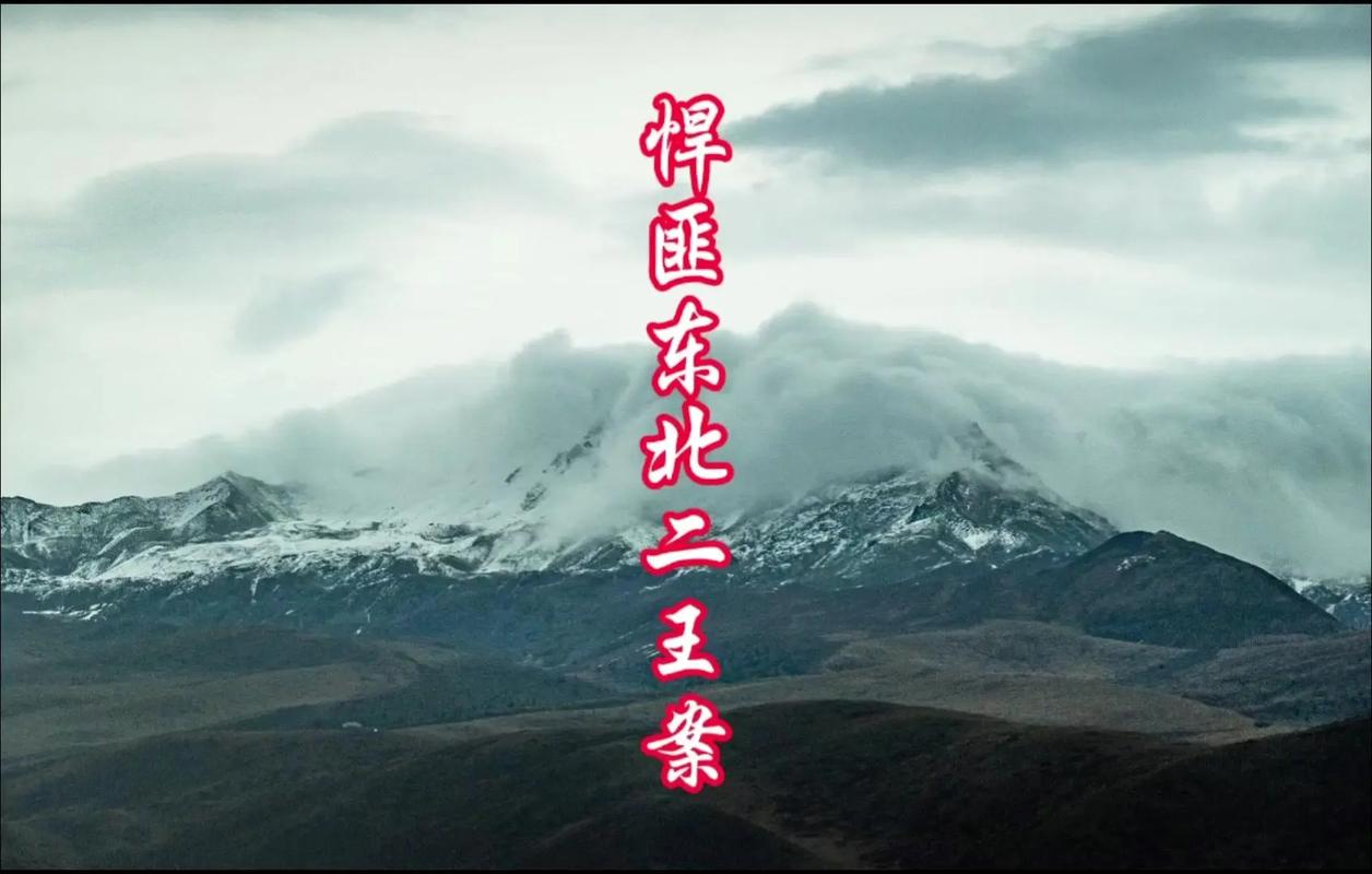 东北二王事件真相电视剧，东北二王事件来龙去脉  第4张