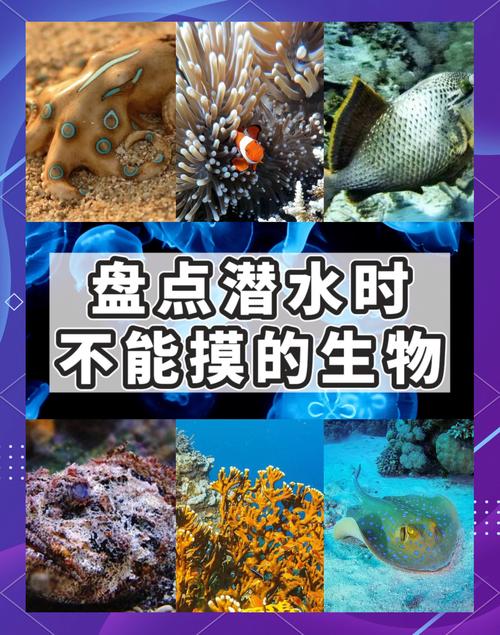 死海里的可怕生物图片？死海里的生物长得什么样子？  第5张
