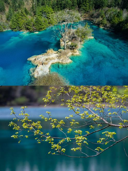 四川黄龙九寨沟天气，九寨沟 黄龙 天气  第4张