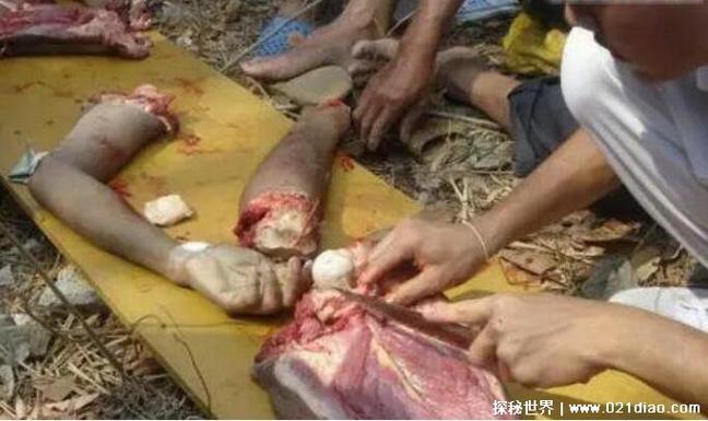 前十恐怖事件前十灵异事件视频，前十恐怖事件前十灵异事件视频大全  第5张