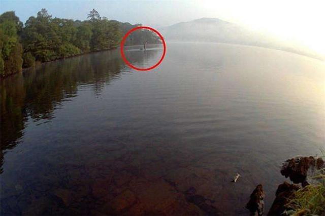 尼斯湖水怪被发现死在湖底，尼斯湖水怪被发现死在湖底的原因  第5张