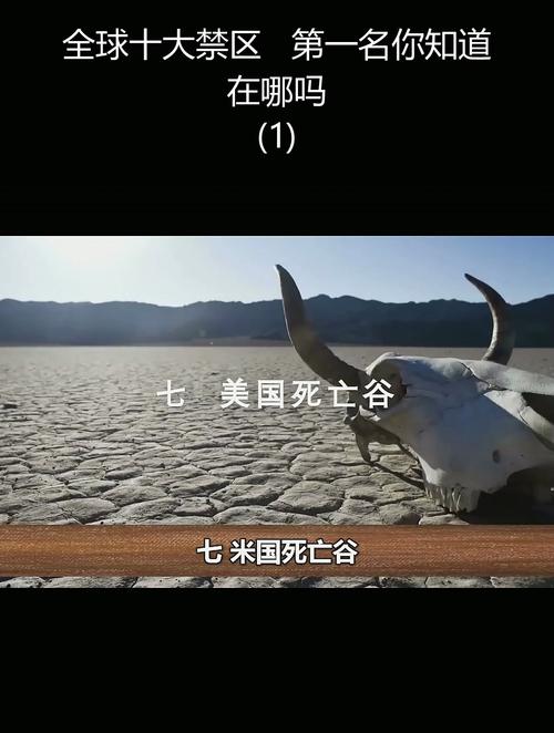 世界上最恐怖的动物园，世界上最恐怖的动物园你到底是哪个吗给我找一找？  第5张