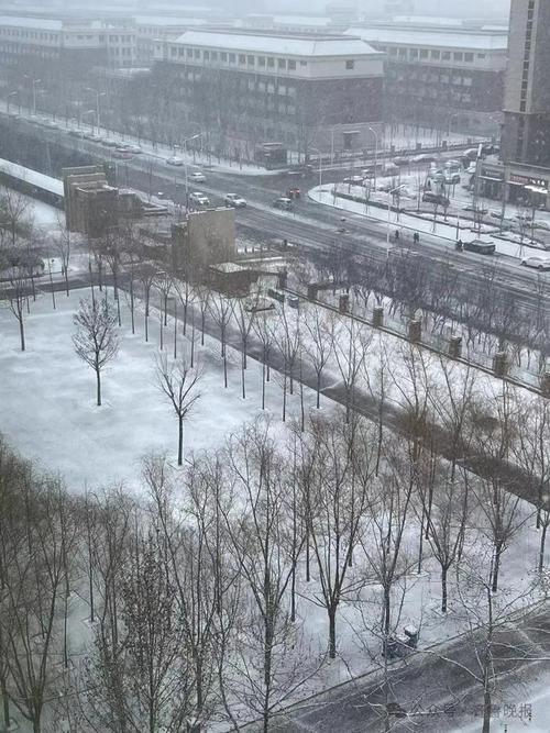东明天气预报气象台，东明天气预报15天查洵  第2张