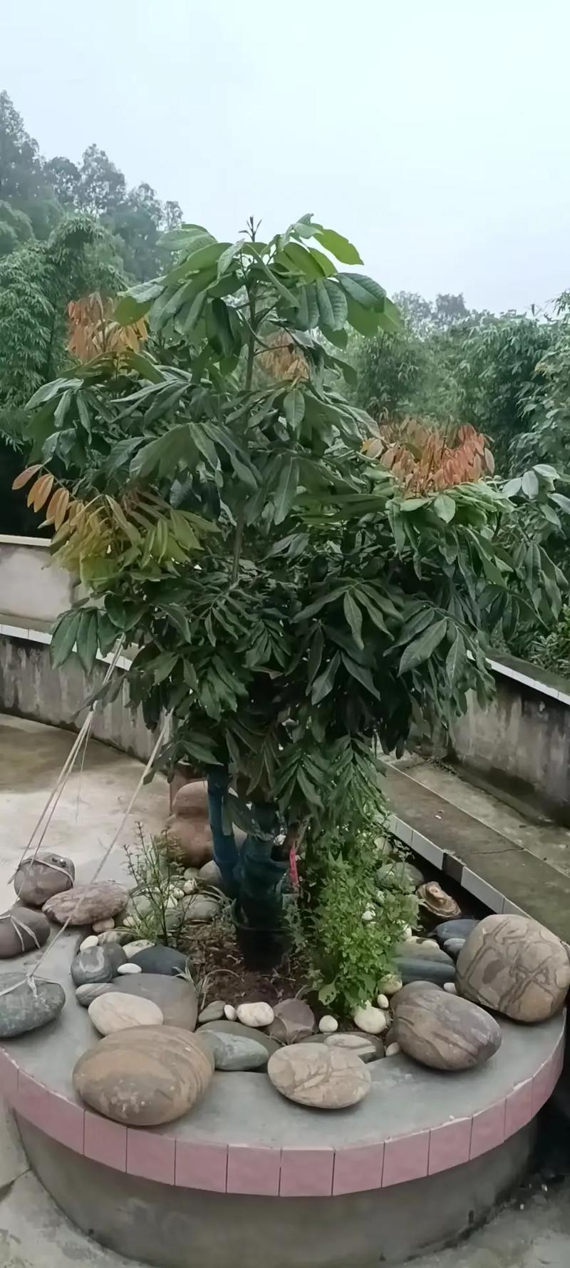 湖南衡阳县明天天气，湖南衡阳县天气预报30天  第1张