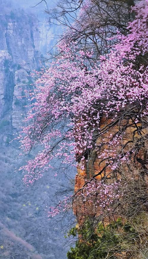 太行山近日天气情况，太行山近日天气情况表  第4张