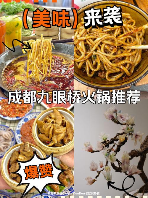 成都九眼桥最特色美食？成都九眼桥最特色美食是什么？  第1张