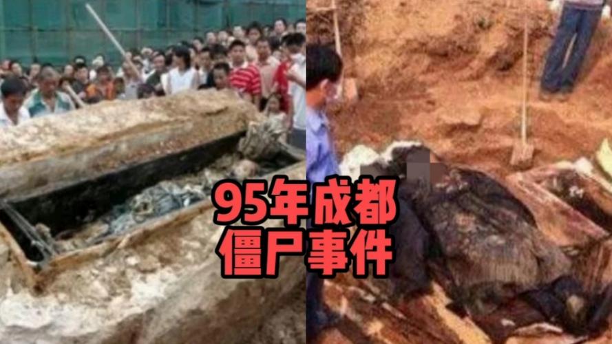 95年成都僵尸视频，1995年成都僵尸之谜  第5张