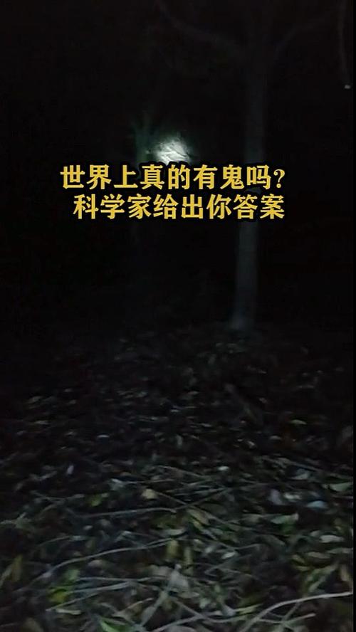 世界上有鬼吗30张鬼图证据，世界上有鬼嘛照片  第4张