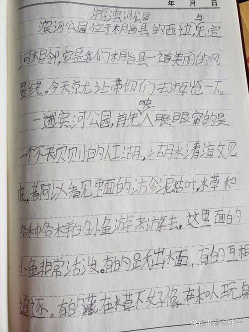 安阳事件来龙去脉，安阳大事件  第5张