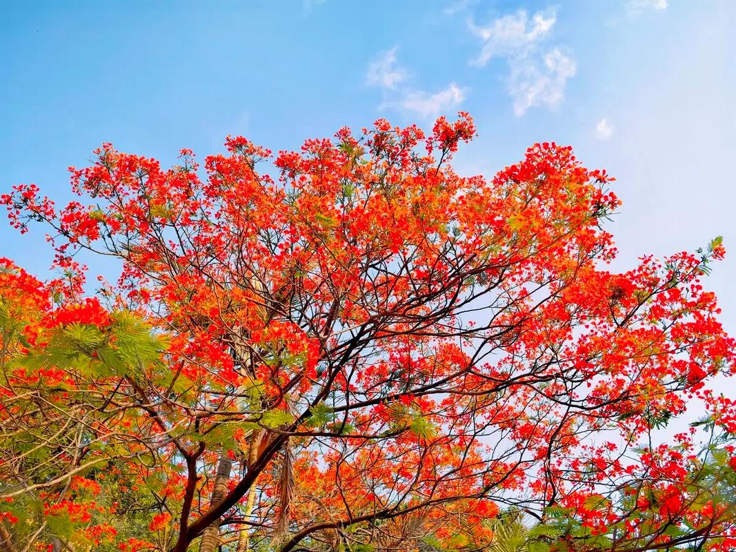 雅江天气15天预报？雅江县天气？  第2张