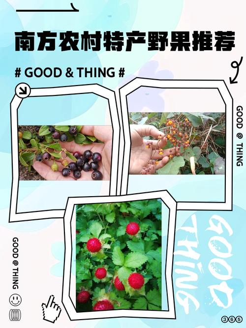 南方特产美食做法，南方特产干货？  第4张
