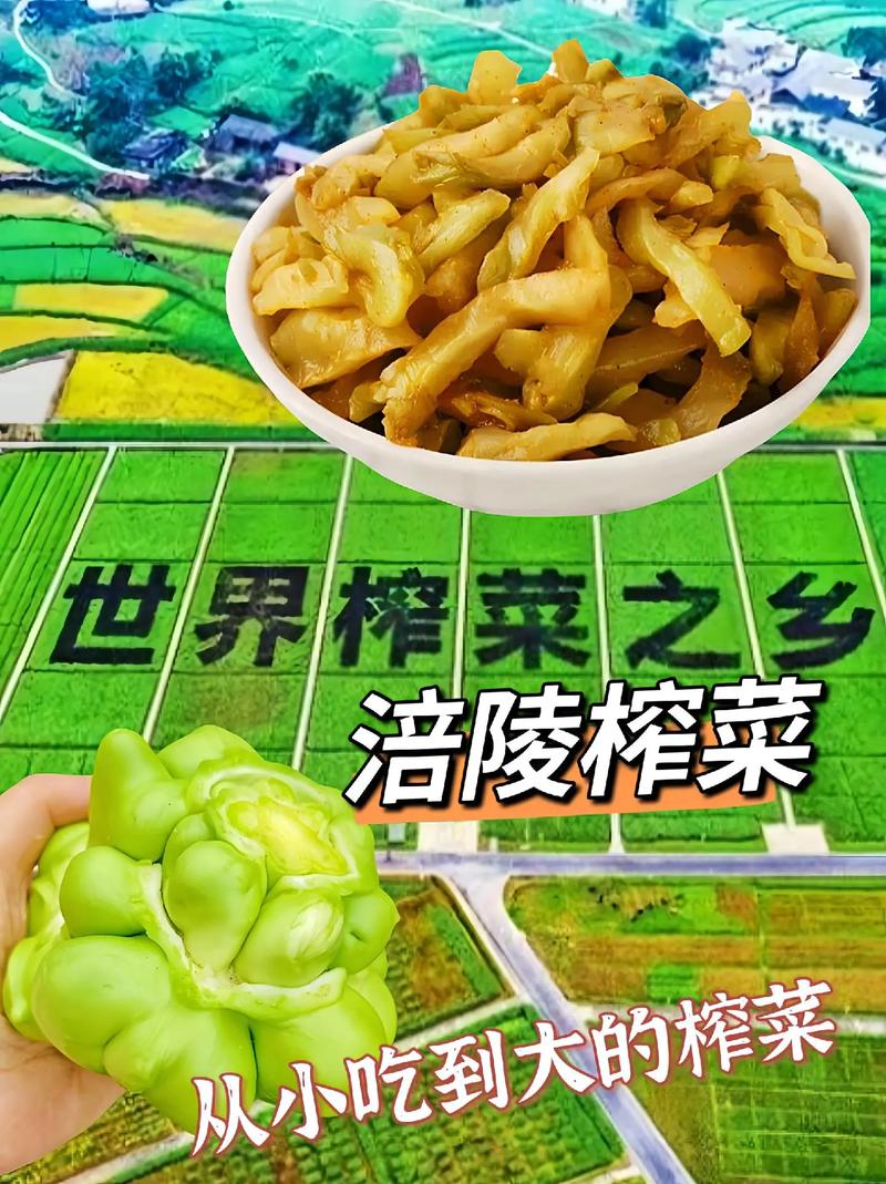 四川涪陵美食推荐，涪陵的美食？  第6张