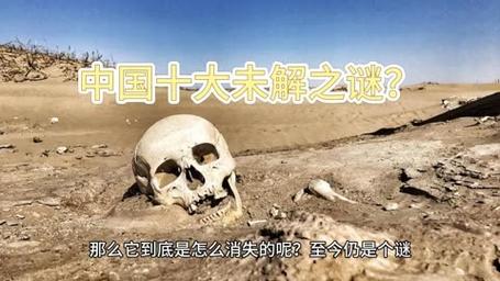 1990年黑龙江警察被吓疯？黑龙江警察开枪？  第3张