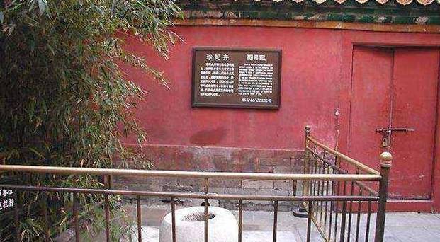 故宫真的死了很多人吗，故宫真的死了很多人吗知乎？  第5张