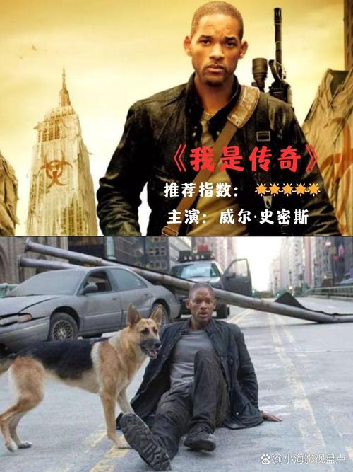 有人拍到了丧尸，地球上死了的人去哪了  第6张