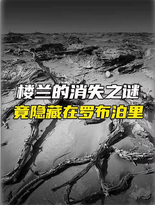 双鱼玉佩事件是真是假？双鱼玉佩真实事件原因？  第6张