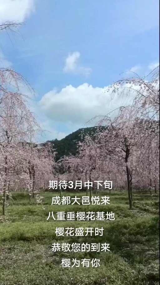 青白江墨迹天气预报？墨迹天气实时预报？  第6张