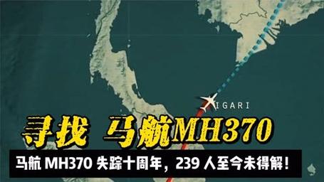 马航事件真相大白了吗，马航事件再曝惊人真相  第1张