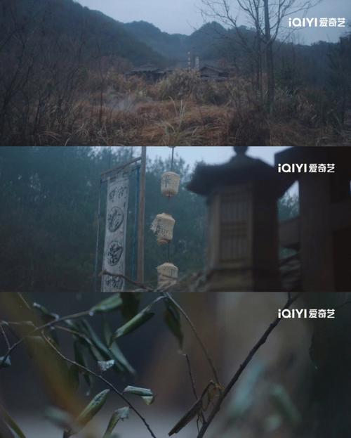 蟒蛇事件真相，蟒蛇事件新闻？  第2张