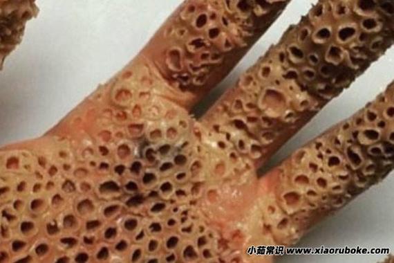 十宗罪芝麻女孩原文，十宗罪芝麻女孩故事不加图  第3张