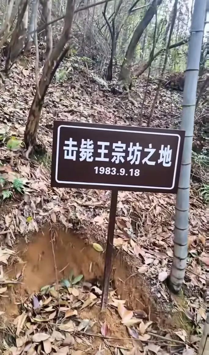 1983年沈阳二王事件真相，东北沈阳二王枪击案  第4张