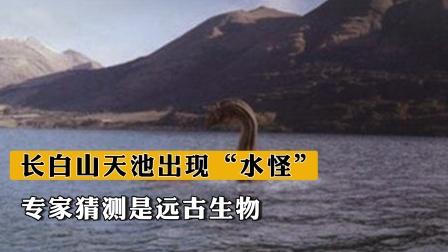 长白山水怪图片，长白山水怪之谜之真相  第3张