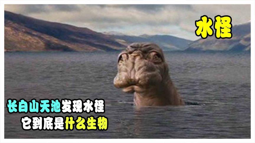 长白山水怪图片，长白山水怪之谜之真相  第5张