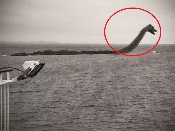女人抓到了尼斯湖水怪，尼斯湖水怪死亡照片？  第3张