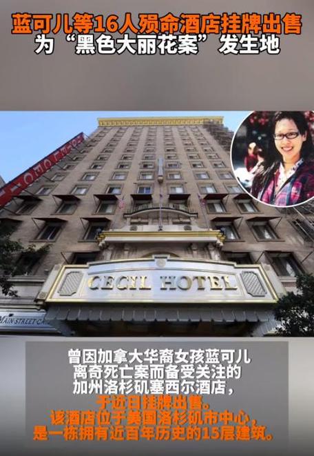 蓝可儿黑色大丽花，蓝可儿和黑色大丽花有什么关系  第5张