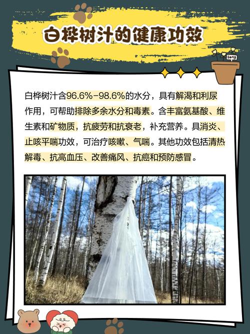诡异选取求生游戏，诡异选取求生游戏无错  第4张