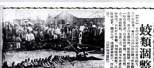 营川坠龙事件图片，营川坠龙事件图片真实？  第6张
