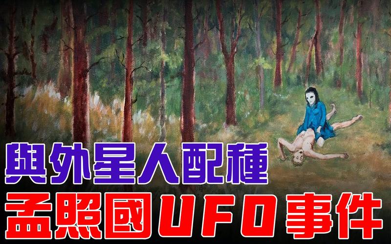 黑龙江凤凰山飞碟位置，黑龙江凤凰山不明飞行物事件？  第3张