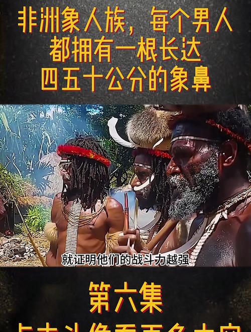 非洲象人族怎么怀孕？非洲象族人怎么繁衍后代？  第5张
