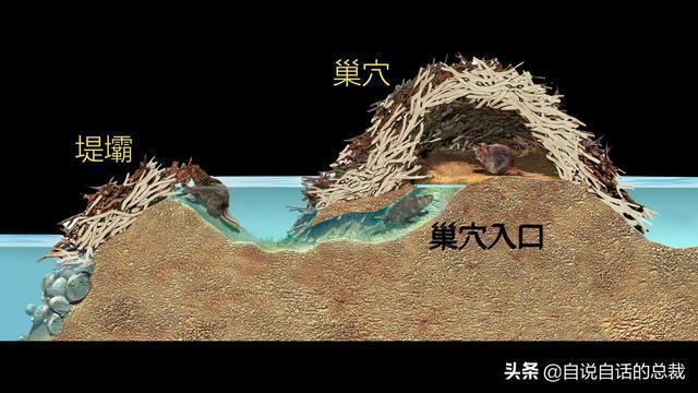 uso事件视频，ulb事件  第1张