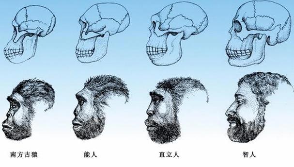 非洲原始人类，非洲原始人类有哪些？  第2张