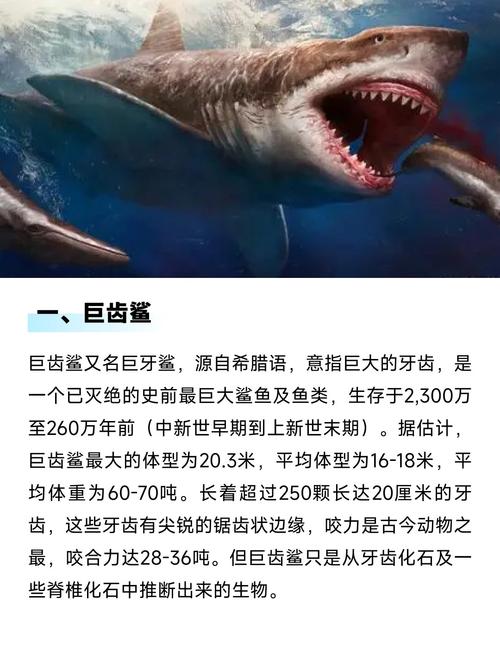 史前最恐怖的10种鱼，史前最恐怖的10种鱼视频？  第2张