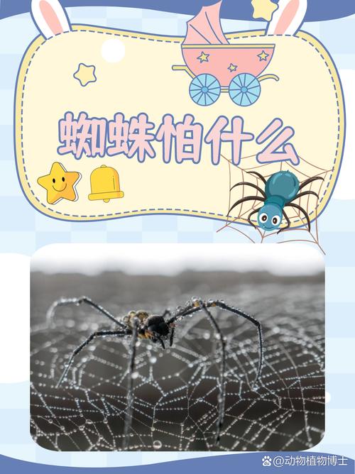 十宗罪为什么不写了，十宗罪怎么不写了  第3张