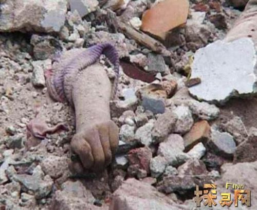 08汶川地震异常现象，2008汶川地震现场？  第1张