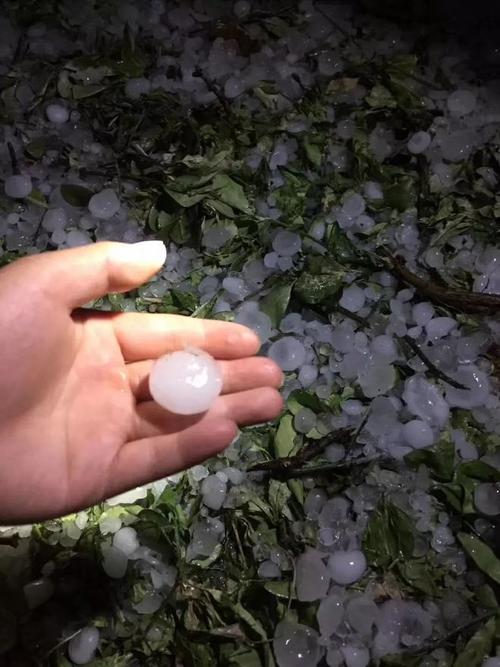 肃宁未来三天的天气，肃宁天气15天预报  第3张